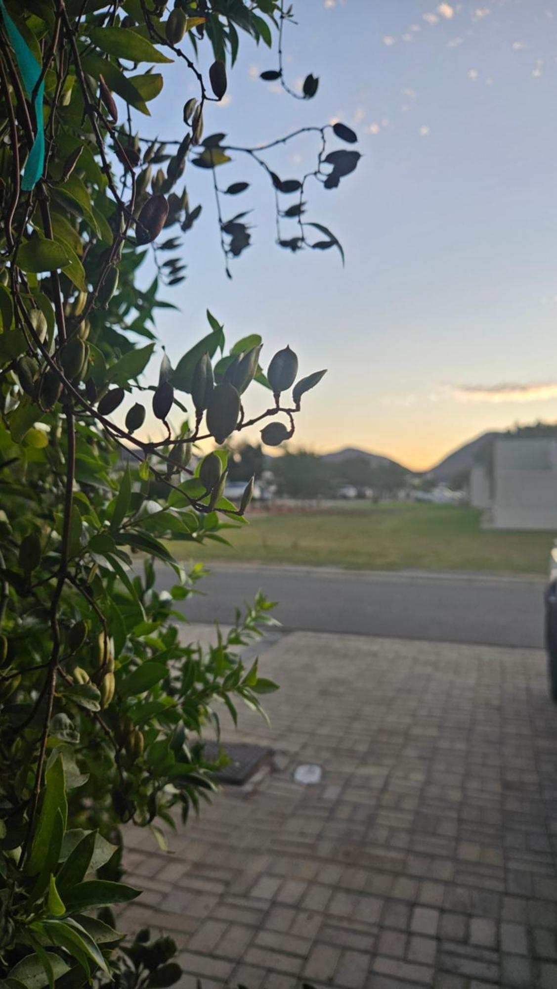 Lily'S Rest, Village On Silwerstrand, 罗伯森 外观 照片